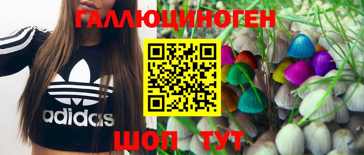 Канабис  APVP СК кристаллы  Советский  NBOMe  Вход с VPN  COCAIN  ЭКСТАЗИ  ГАШ  Метамфетамин  МЕФ  