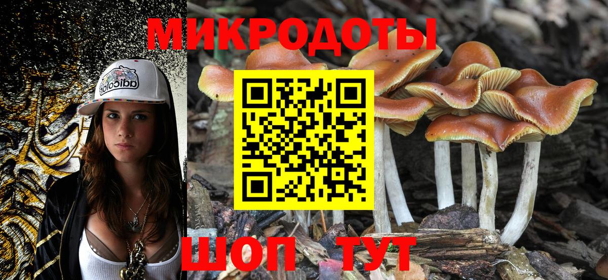 Советский  Псилоцибиновые грибы Cubensis  Вход с VPN  Псилоцибиновые грибы Psilocybe 