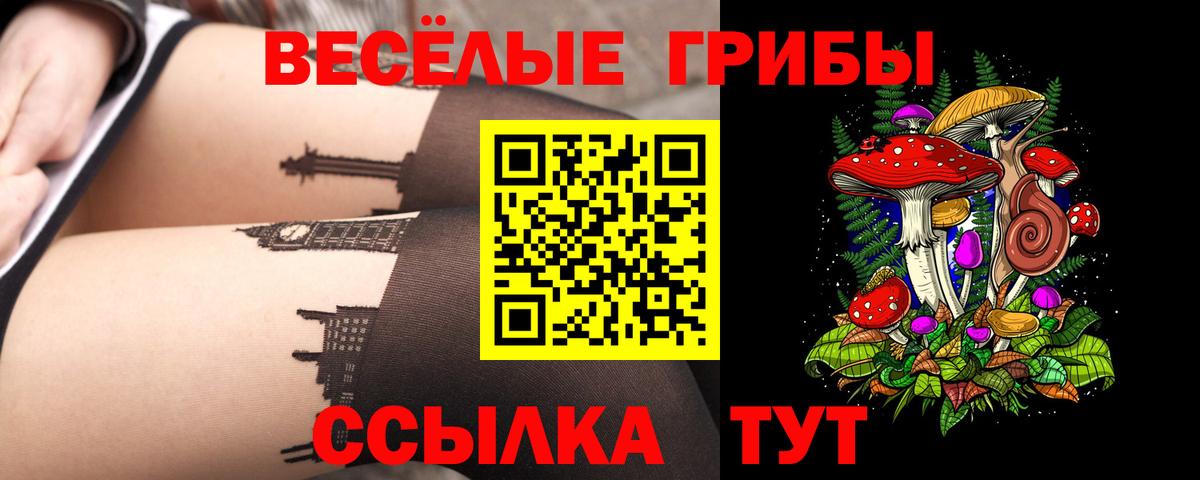 Галлюциногенные грибы Psilocybine cubensis Советский
